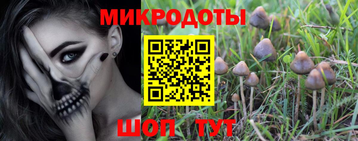 Псилоцибиновые грибы мицелий  Вход с VPN  Рыбинск 